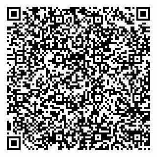 vCard 79511580288