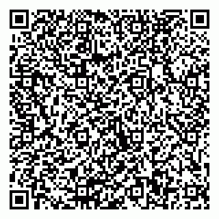vCard 79511580289