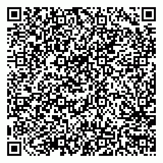 vCard 79511580293