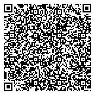 vCard 79511580294