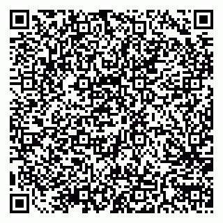 vCard 79511580297