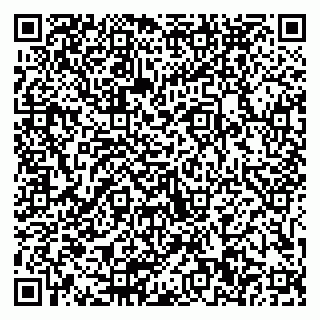 vCard 79511580300