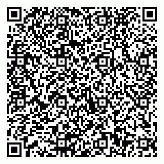 vCard 79511580378