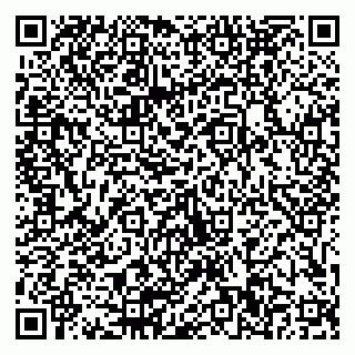 vCard 79511580381