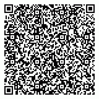 vCard 79511580382