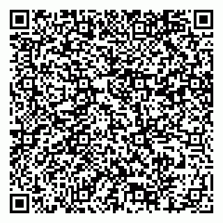 vCard 79512200381