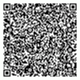 vCard 79512404131