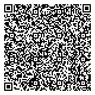 vCard 79512404133