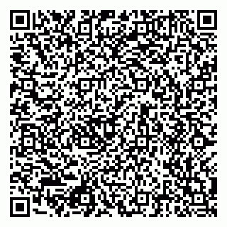 vCard 79512404138