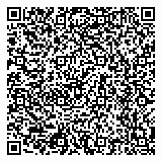 vCard 79512404163