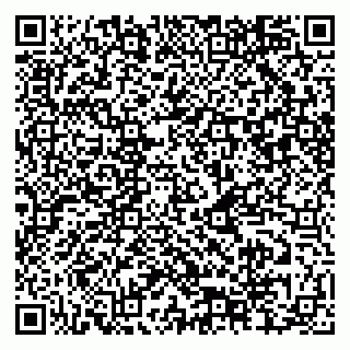 vCard 79512404319