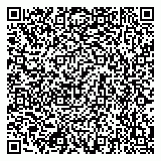 vCard 79512537331