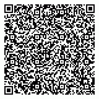 vCard 79512548288