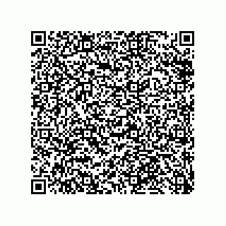 vCard 79512790274