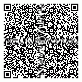 vCard 79512900133