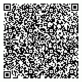 vCard 79512900173