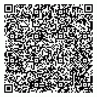 vCard 79512900303