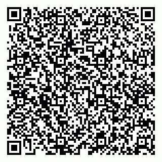 vCard 79512900333