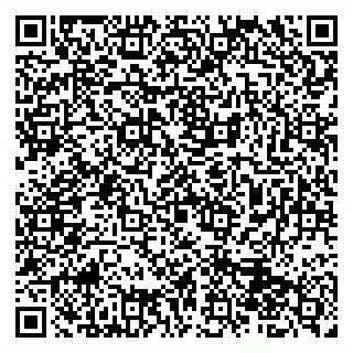 vCard 79513100022