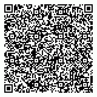 vCard 79513100029