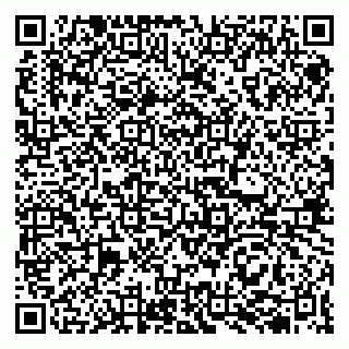 vCard 79513100067