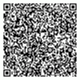 vCard 79513100086