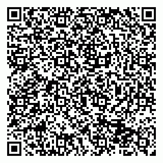vCard 79513100105