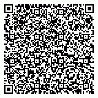 vCard 79513100107