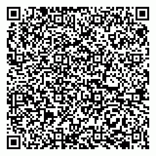 vCard 79513100127