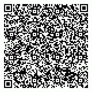 vCard 79513100166