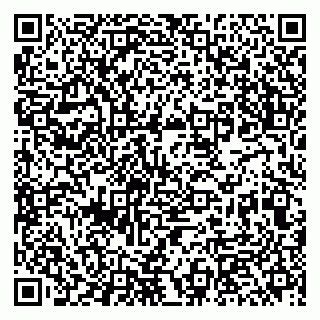 vCard 79513100190