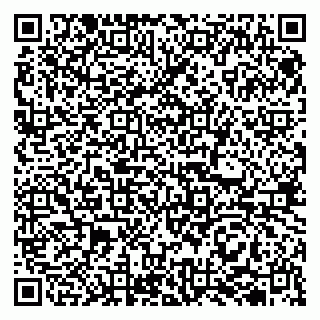 vCard 79513100197