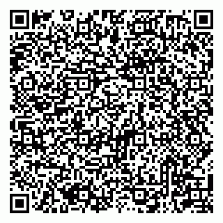 vCard 79513100201