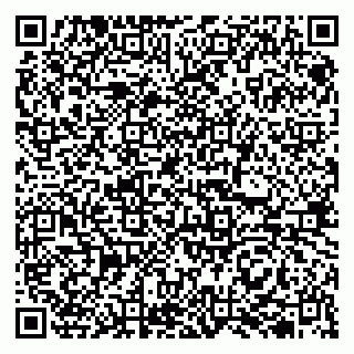 vCard 79513100293
