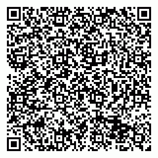 vCard 79513100321