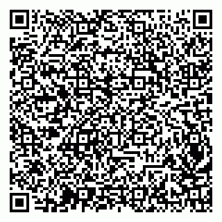 vCard 79513100350