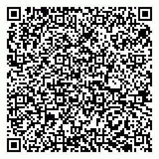 vCard 79513100379