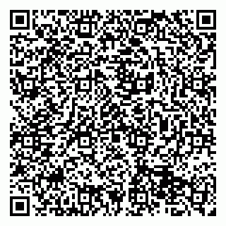 vCard 79513375234
