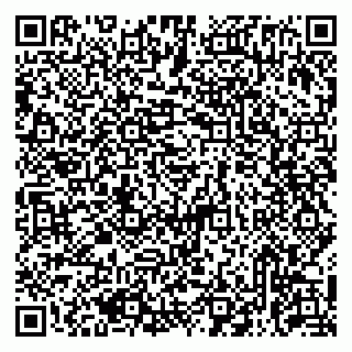 vCard 79513375253