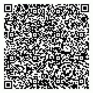 vCard 79513375264