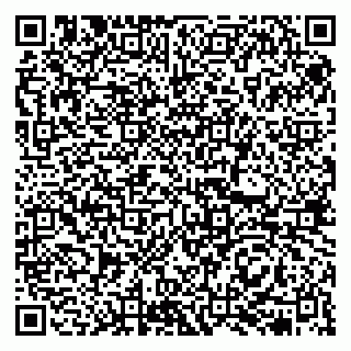 vCard 79513375285