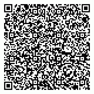 vCard 79513375290