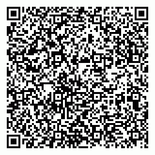 vCard 79513375293