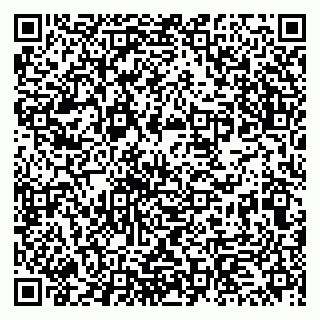 vCard 79513375294