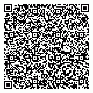 vCard 79513375295