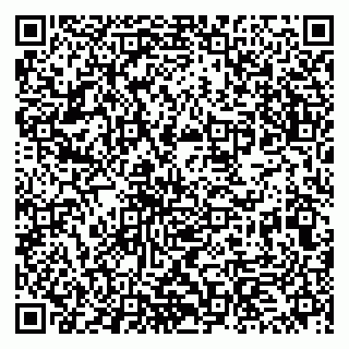 vCard 79513375296