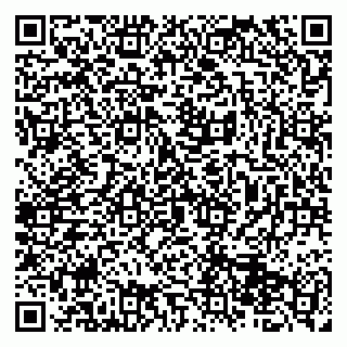 vCard 79513375297