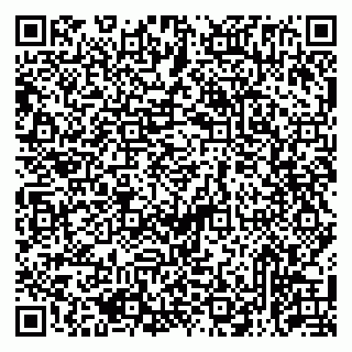 vCard 79513375301