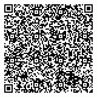 vCard 79513375302