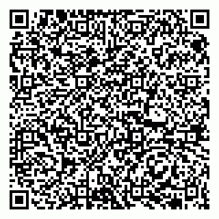 vCard 79513375303